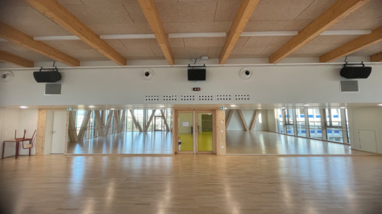 Le son au service du sport : Manganelli équipe le NCSU de Strasbourg en Fohhn