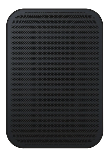 Enceinte amplifiée avec lecteur réseau - noir - Bluesound BSP125