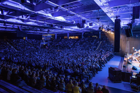 Module haute fréquence 8 x 1 pouces + 8 x 1,4 pouces - 16x250W - BK