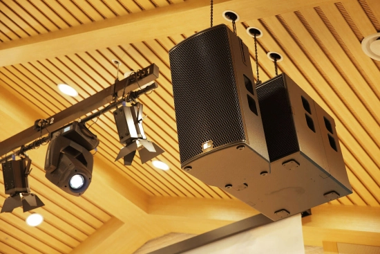 Enceinte cardioïde 2 x 12pouces + 1,4pouces 90Hx50V 900W/4ohms - BK