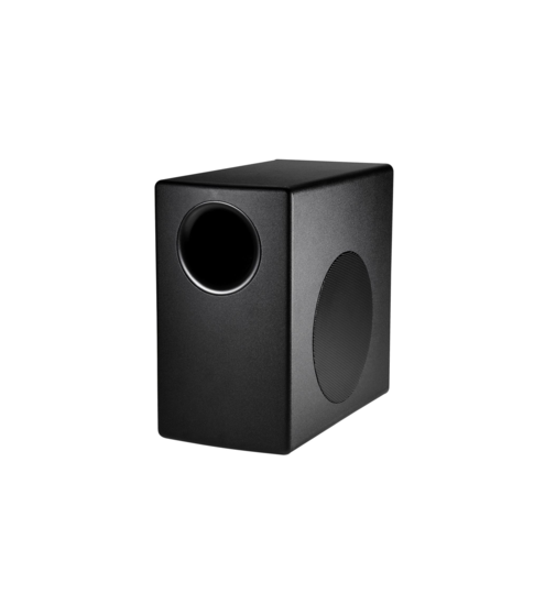 CONTROL50S/T - Subwoofer pour control 52 - boomer 20cm - 100W