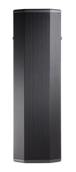 CWT128 - Enceinte 2 voies - 2x20cm - couverture 160°x60°