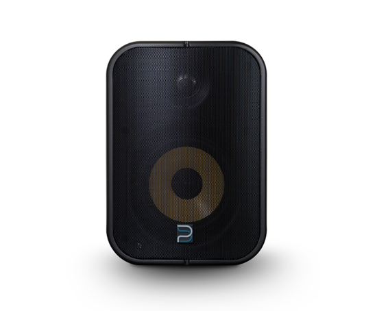 NS POE Network Streaming Speaker - 5.25 - Noir - Bluesound BSP500-BK