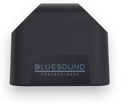 Enceinte streamer PoE, noire - Blue Sound BSP200-BK