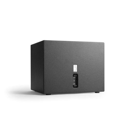 AS 22 Sub passif 1 x 12 pouces 500W/ 4 Ohms - RAL