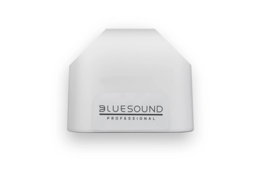 Enceinte streamer PoE, blanche - Blue Sound BSP200-WH