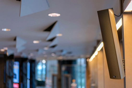 Enceinte active 2 voies 100W - 2 ports RJ45 AIREA NET - RAL