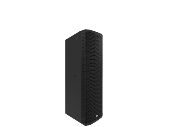 Colonne passive 2 voies, LF 2 x 5 pouces + 2 HF, 250W/8Ohms,120Hx20V