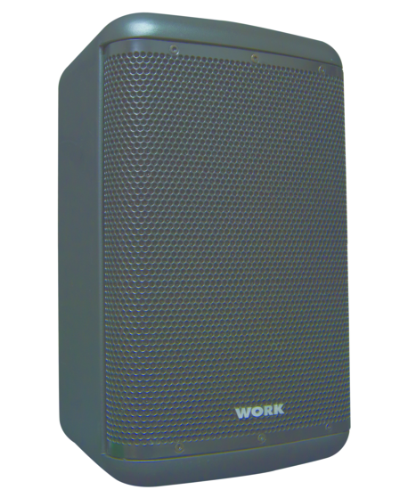 Enceinte passive IP54, LF 10 pouces+HF, 200W/8Ohms-60W/100V, noire