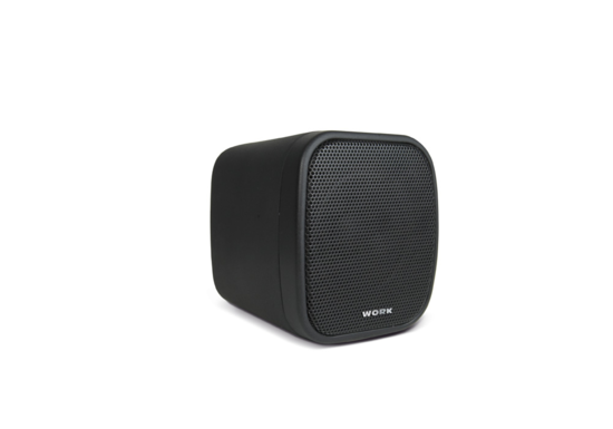 Paire HP large bande, 2,5, 20W/8O-10W/100 V- WORK NEO 3 LINE BLACK