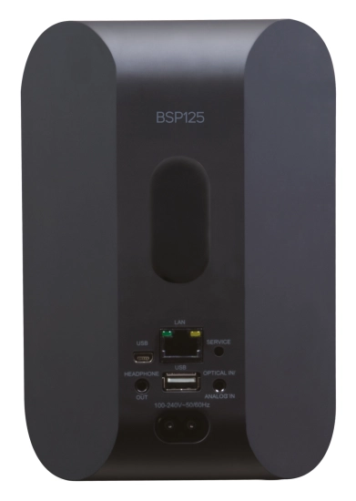 Enceinte amplifiée avec lecteur réseau - noir - Bluesound BSP125