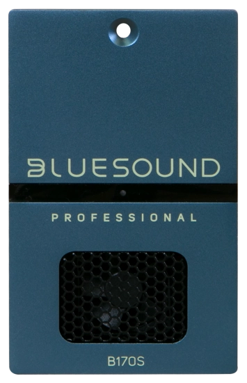 Lecteur musique réseau amplifié 100 V - Bluesound B170S