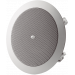 NS 6 W, 5.25 dual cone passive full-range ceiling speA