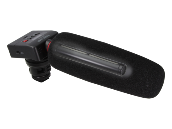 NS Enregistreur PCM avec micro SHOTGUN pour DSLR