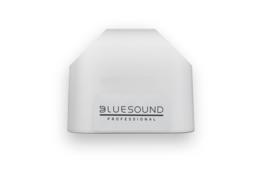 Enceinte streamer PoE, blanche - Blue Sound BSP200-WH