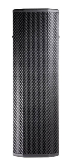 CWT128 - Enceinte 2 voies - 2x20cm - couverture 160°x60°