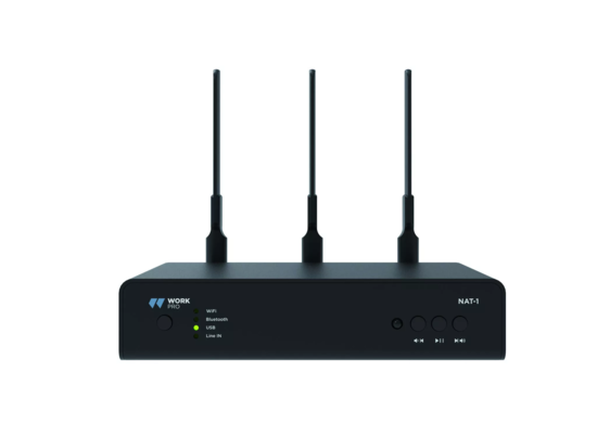 Emetteur 2,4 GHz pour WK-RL-5A, Sreameur Audio, Internet radio, BT