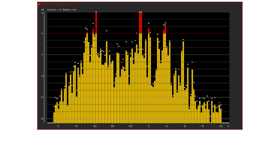 Licence analyseur temps réel 31 bandes pour série TM, RTW