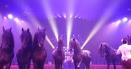 Bêtes de cirque !