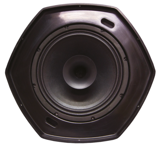 HP suspendu coax noir IP65  8+1, 250 W/8 O-50W/100 V - WORK WPS 