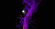 ATB Lighting voit la vie en kolor !