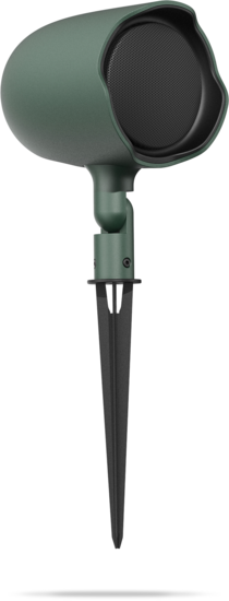 GSF3 verte