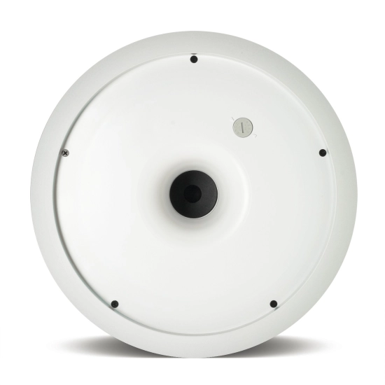 CONTROL 19 CST - Subwoofer plafonnier - boomer 20cm - 100W - 100V