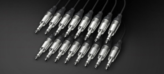 Cable 8x TRS 6,35 <> 8x TRS 6,35 2m