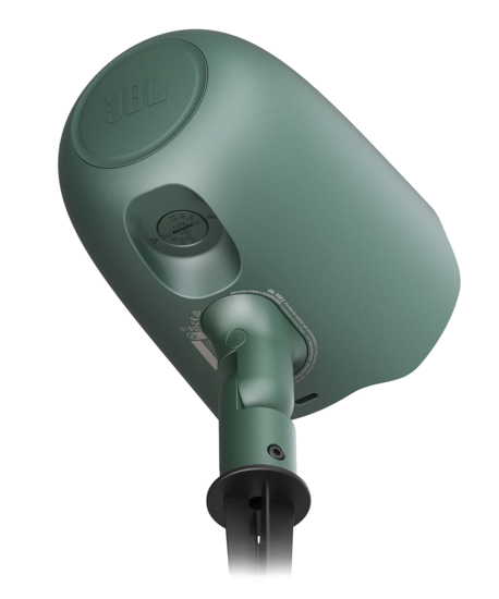 GSF3 verte
