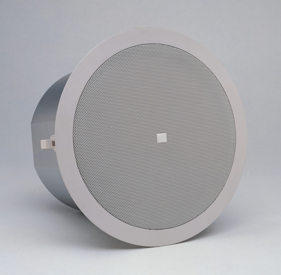 CONTROL 19 CST - Subwoofer plafonnier - boomer 20cm - 100W - 100V