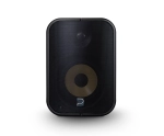 POE Network Streaming Speaker - 5.25 - Noir - Bluesound BSP500-BK