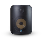 POE Network Streaming Speaker - 6.5 - Noir - Bluesound BSP1000-BK