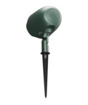 GSF3 verte