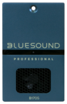 Lecteur musique réseau amplifié 100 V - Bluesound B170S