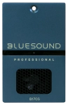 Lecteur musique réseau amplifié 100 V - Bluesound B170S