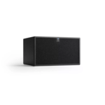 AIREA AS 10 ASX Sub actif 2 x 6,5 pouces 150 W - RAL
