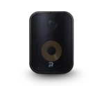NS POE Network Streaming Speaker - 5.25 - Noir - Bluesound BSP500-BK