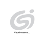NS FLIGHT-CASE POUR 1 STORMLITE HD - FASTLINE MADE IN FRANCE